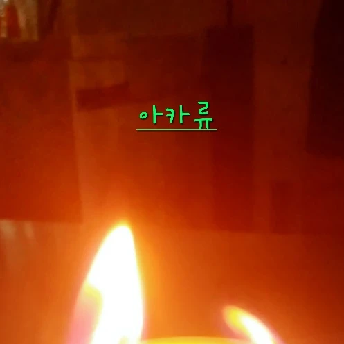 류