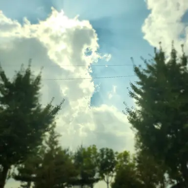 Profile image of 정 공룡