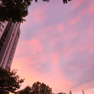 Profile image of 서라더