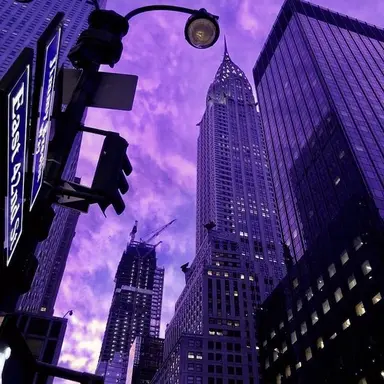 Profile image of 수현