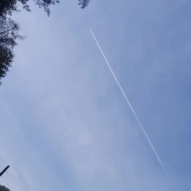 Profile image of 엄마