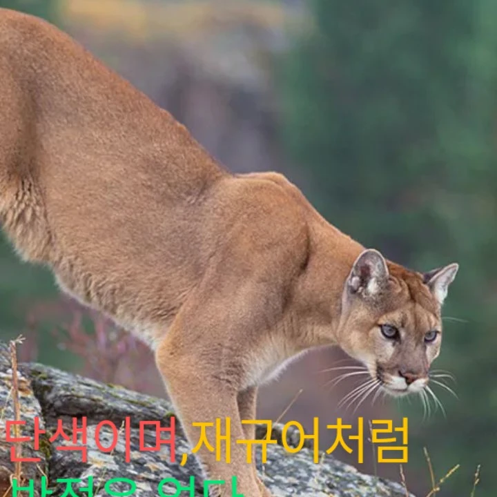 나퓨L합