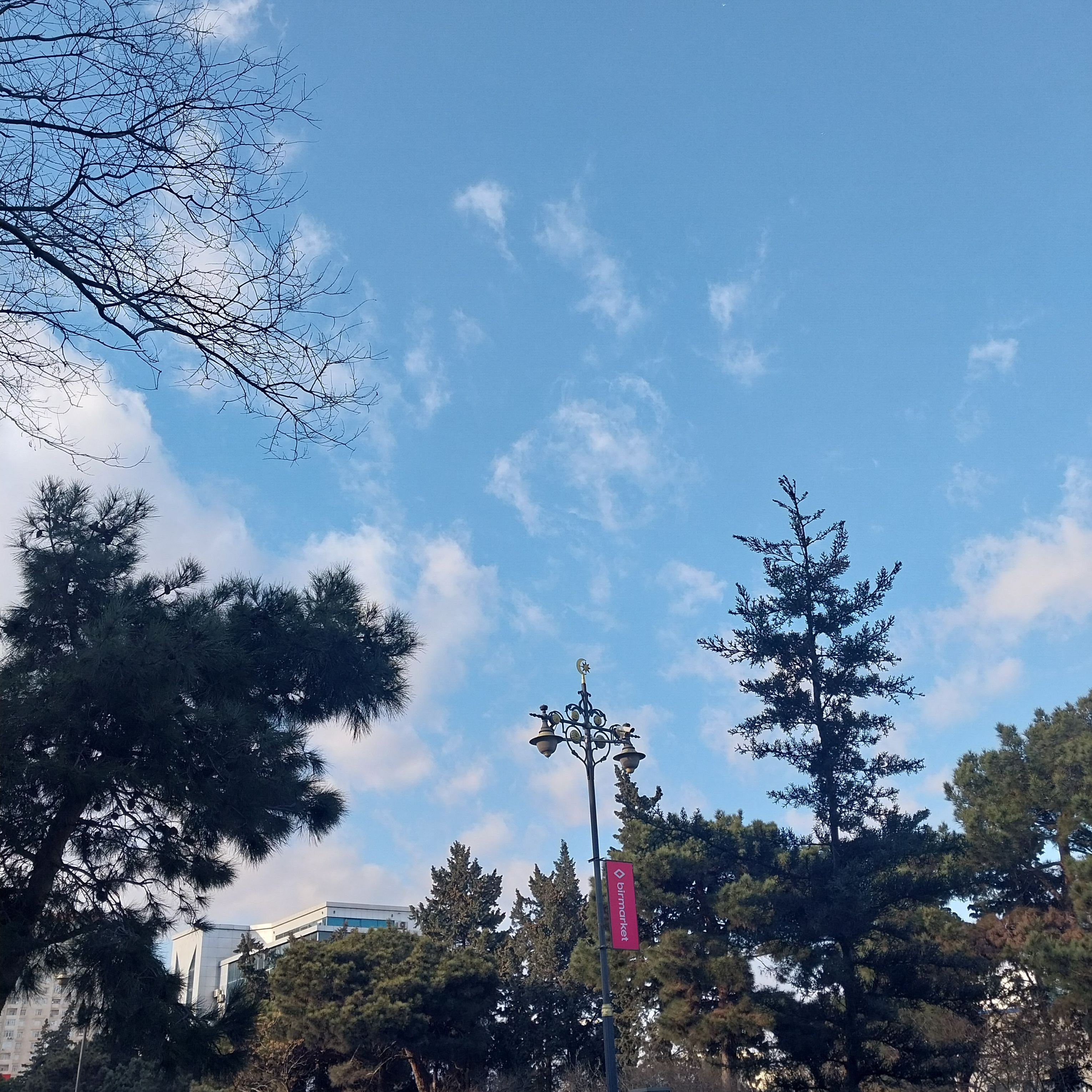 슬기로운 의사 생활 대표 이미지