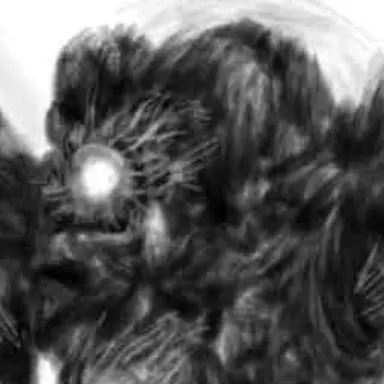 Profile image of 自由