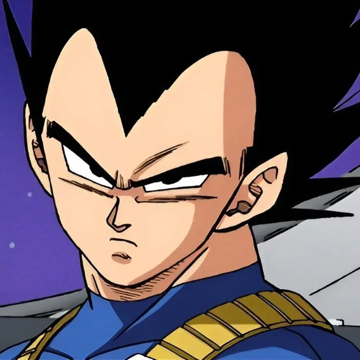 dsaf_lover의 Vegeta