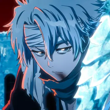 Profile image of Toshiro Hitsugaya