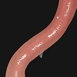 Profile image of 二口堅治