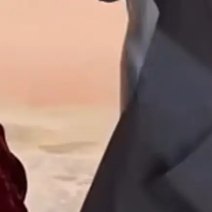 ChunkyElk8205의 修学旅行