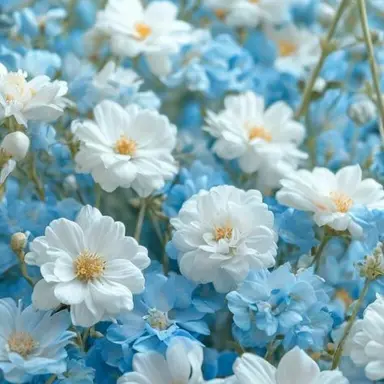 Profile image of 행크