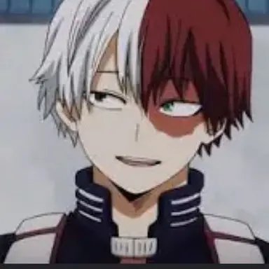 Profile image of Shoto Todoroki