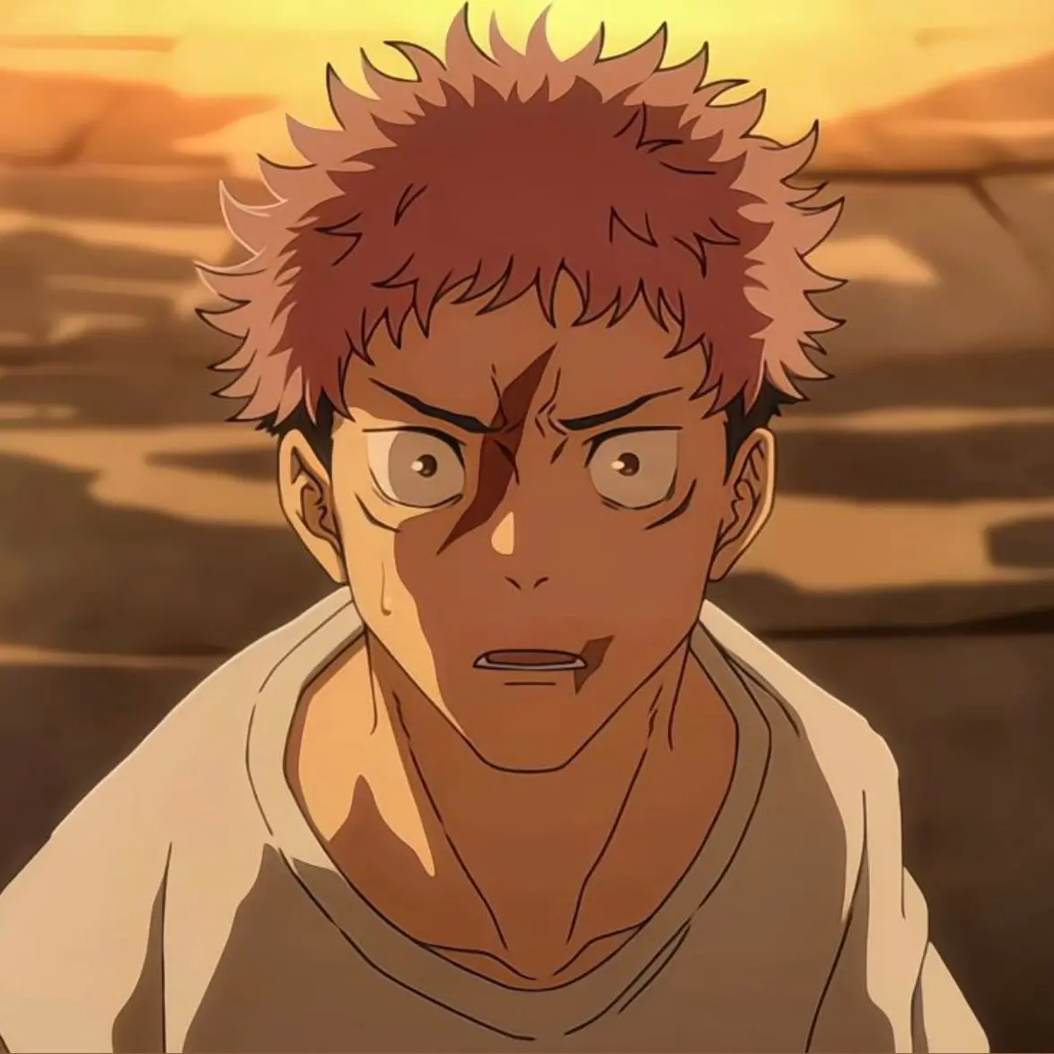 GOJO_11210의 이타도리 유지