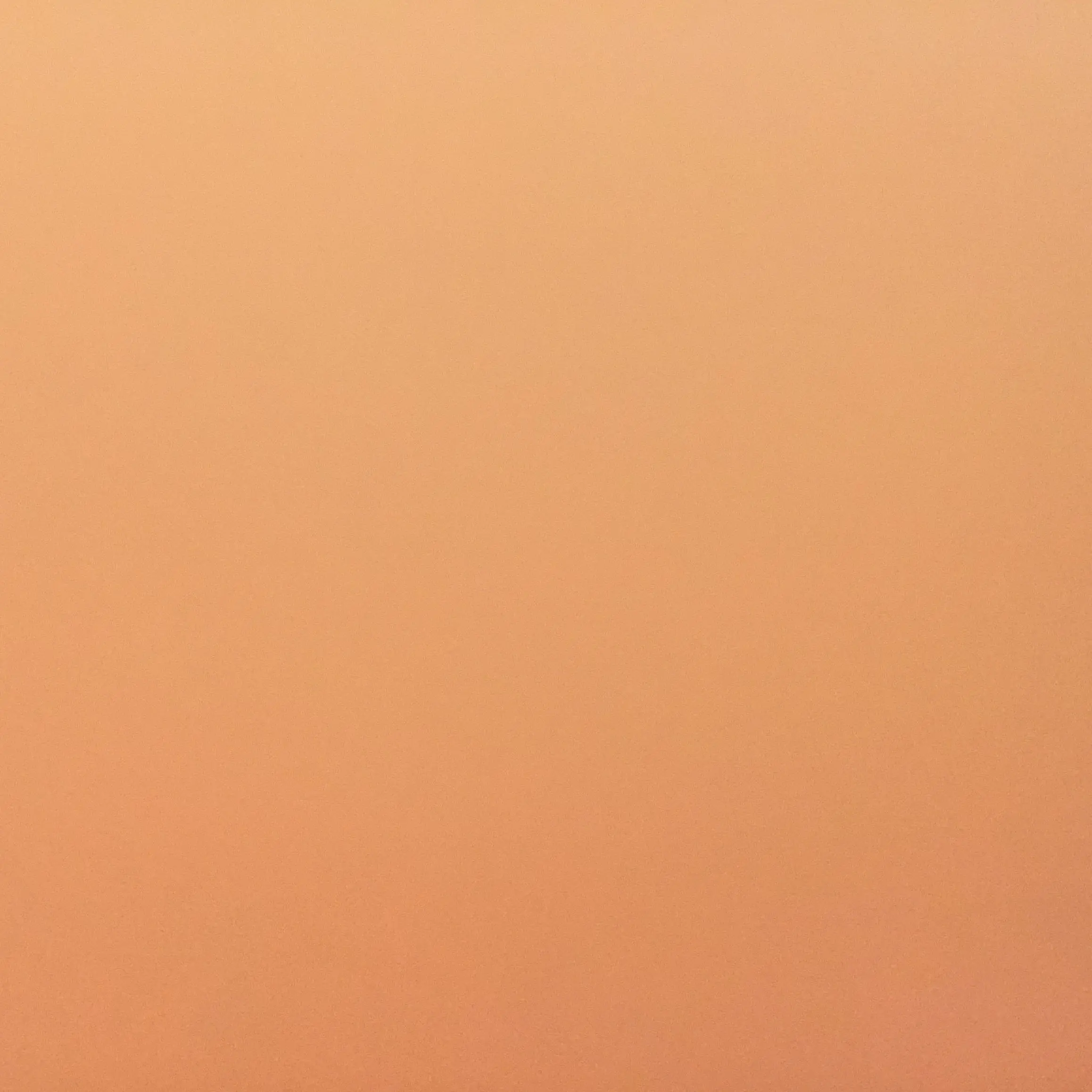 56483838의 팀나빠 99나이트인더포레스트