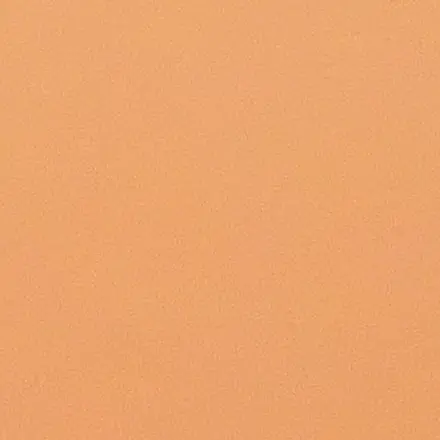 56483838의 팀나빠 99나이트인더포레스트