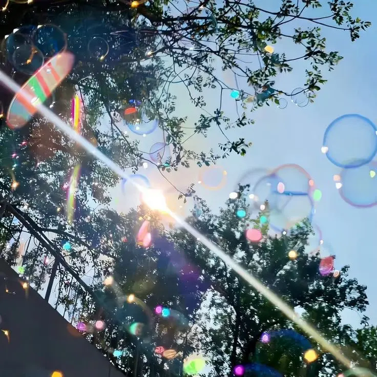 KiA66의 썸머summer