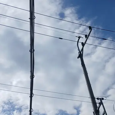 Profile image of 덕개