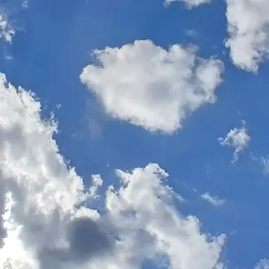 Profile image of 공룡