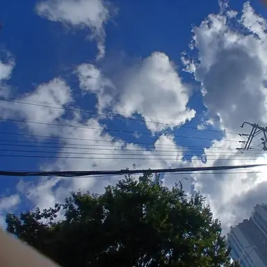 Profile image of 수현