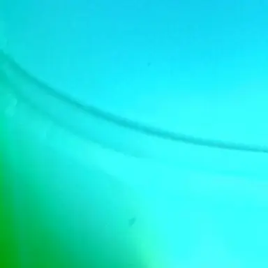 Profile image of user 당신