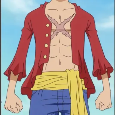Profile image of luffy