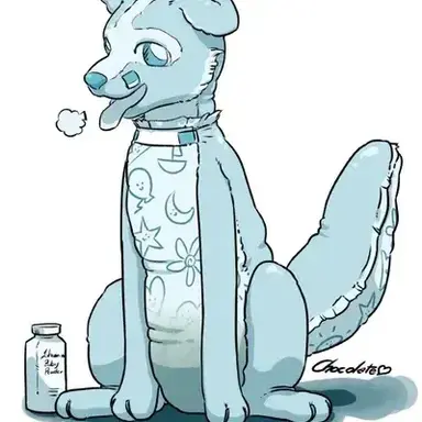 Profile image of Diapered Puppy