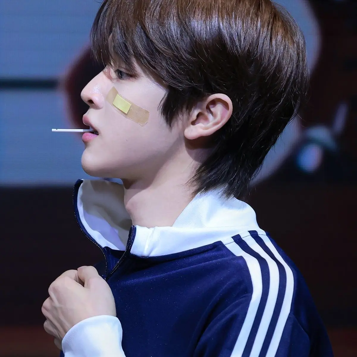 https.960201486의 정성찬