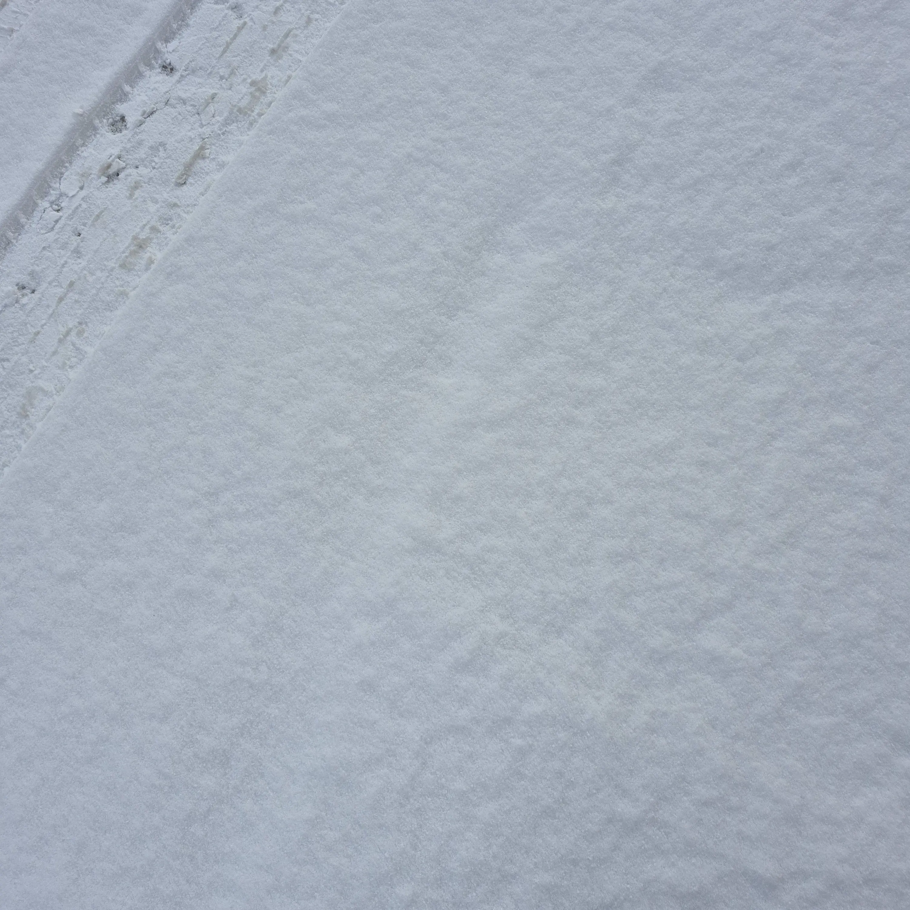 FishyHooks0194의 식인종 오이란