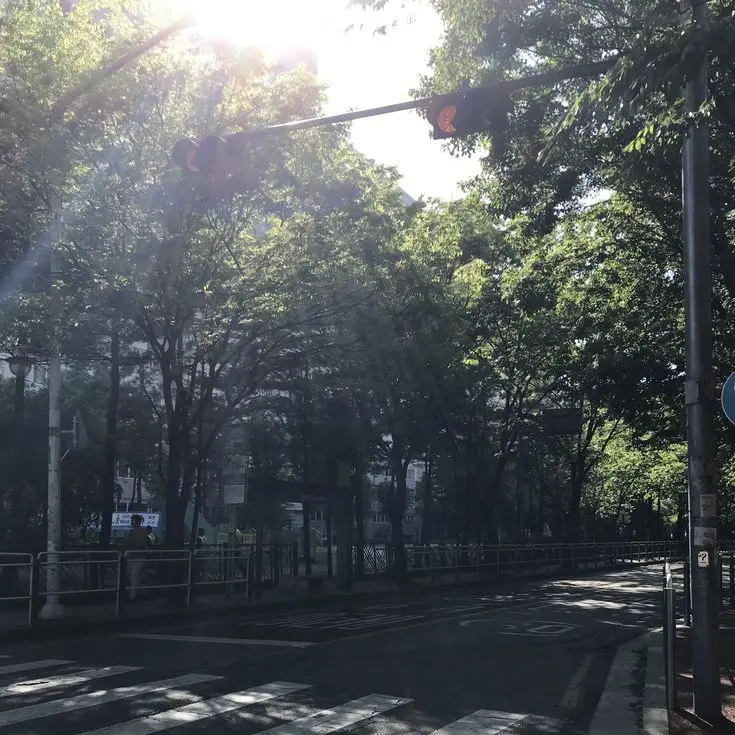 C.JM의 살인마들