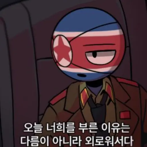 bsjh11의 북한