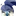 쉐도우밀크