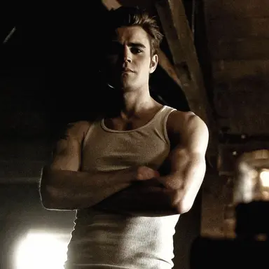 Profile image of Stefan Salvatore