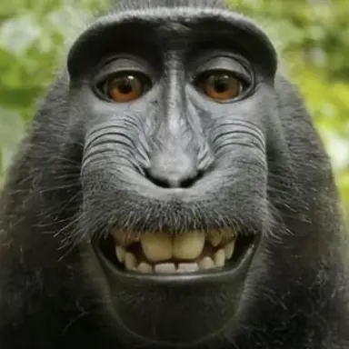 Profile image of ブリ子