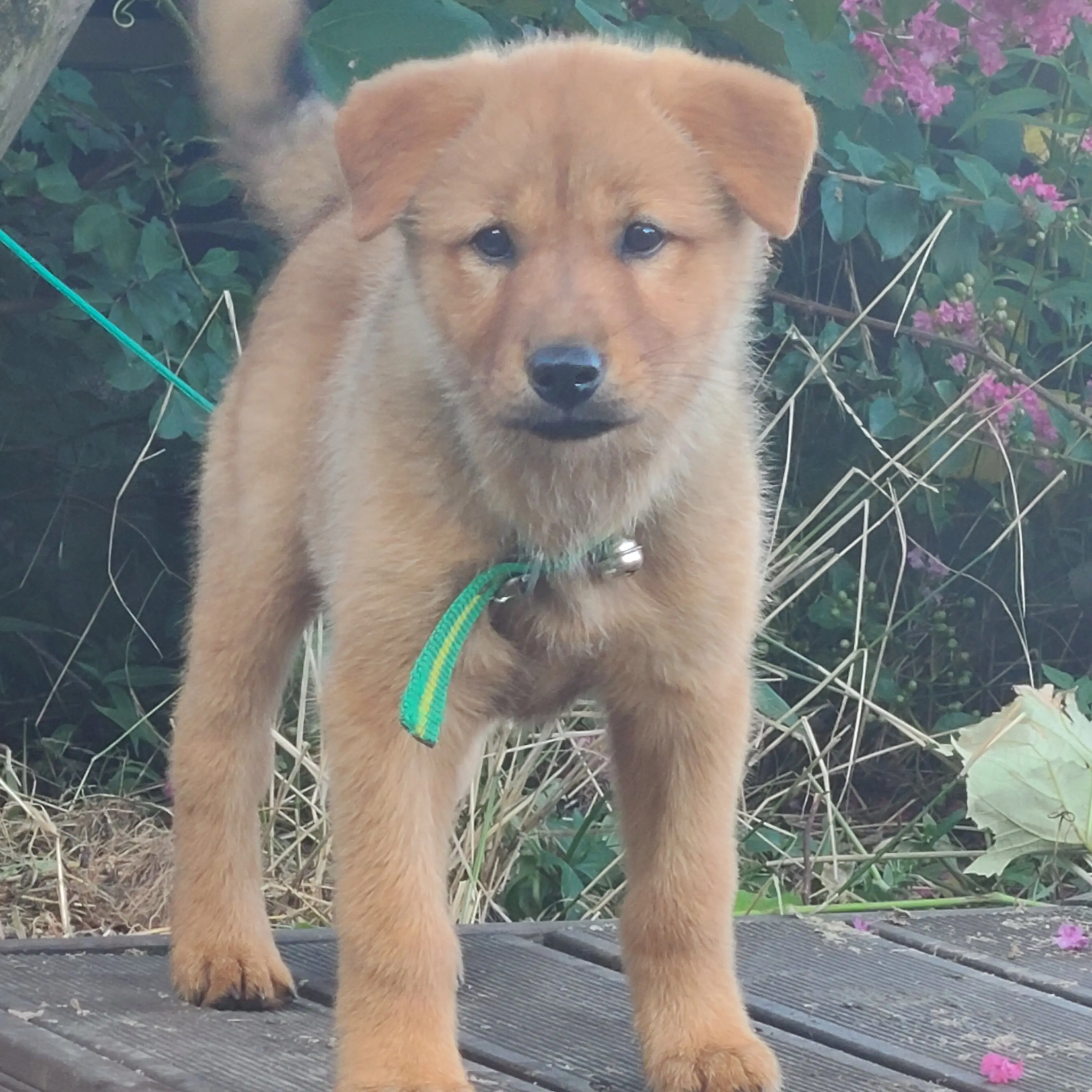 DaftlyPetal1326의 안녕?