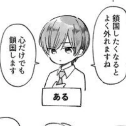 菊