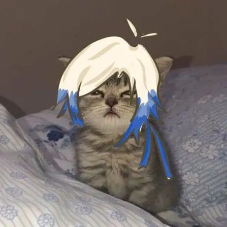 BulkyDorgi8370의 영문도 모른채 버려진 고양이 카이저