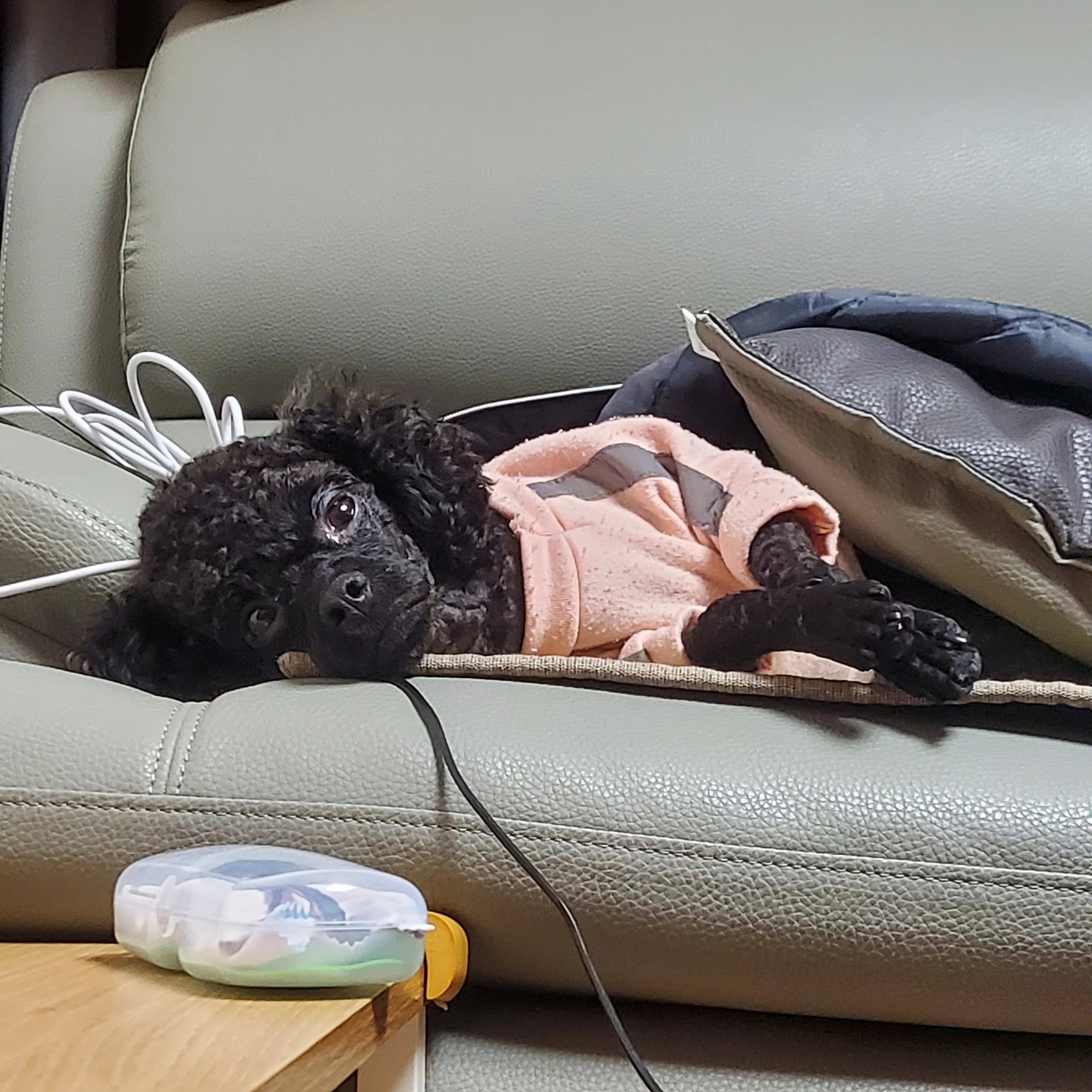 덕개