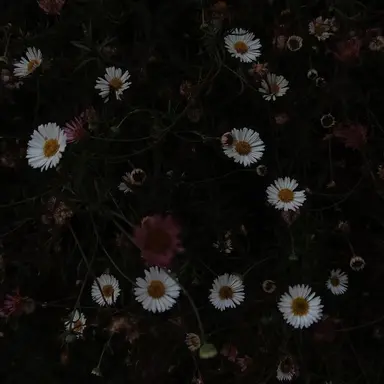 Profile image of ユン・ジョンハン