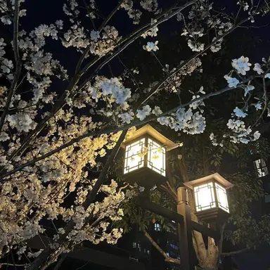 Profile image of 이로