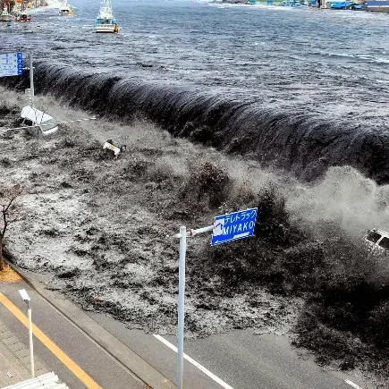 SuppleBass8031의 동일본 대지진