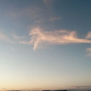 Profile image of 叶