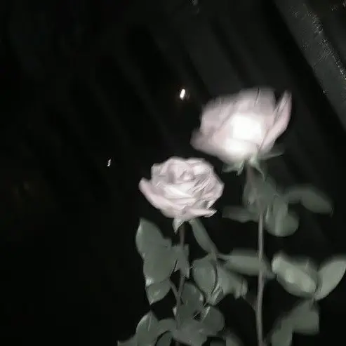 metronome_piano의 유기사