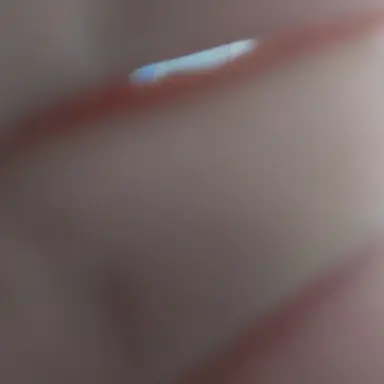 Profile image of 리바이