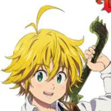 Profile image of メリオダス