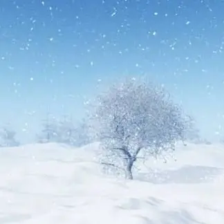 SuperbOcean0223의 겨울
