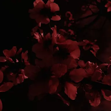 Profile image of 라더