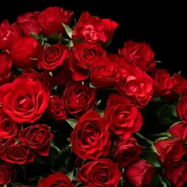 Profile image of 宮舘涼太