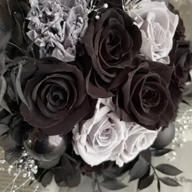 Profile image of 目黒蓮