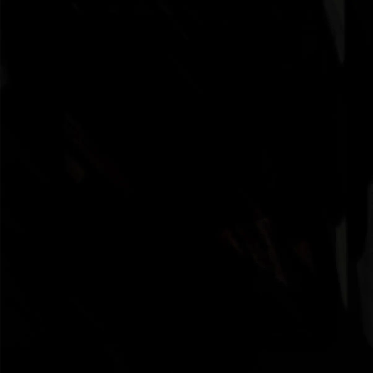 SmoothTabla9205의 입양된 35살 황현진