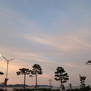 Profile image of 학생들