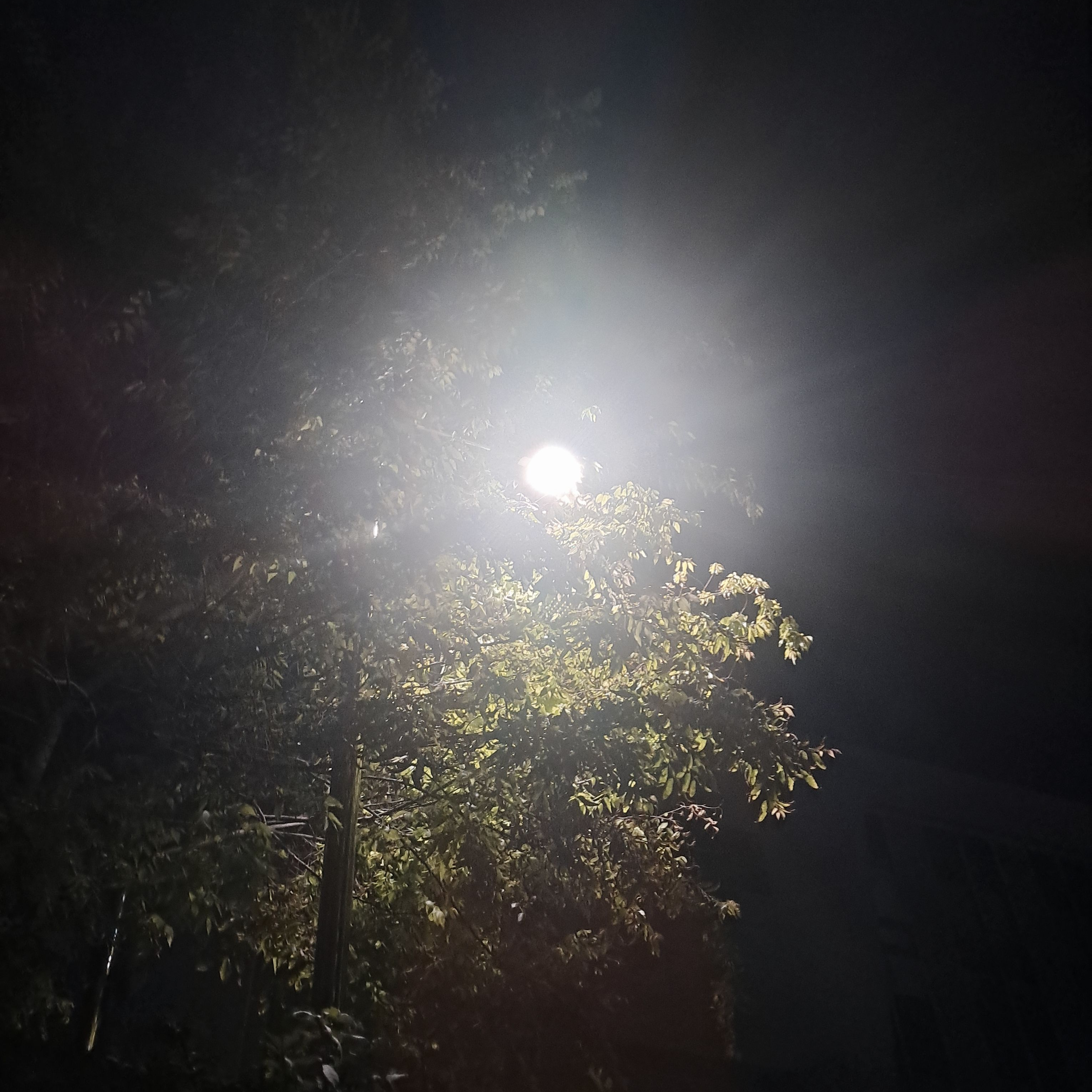 경이로운소문 시즌 1 대표 이미지