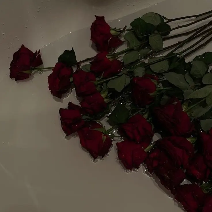 LeftVein9160의 뱀파이어 권